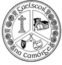 Gaelscoil na Camóige, Cluain Dolcáin Logo