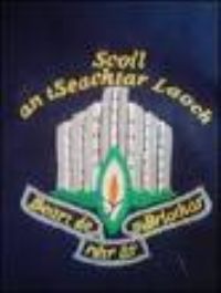 Scoil an tSeachtar Laoch, Bóthar Bhaile Munna Logo