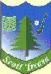 Scoil Treasa, Firhouse Logo