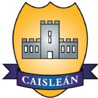 Drimnagh Castle PS Logo